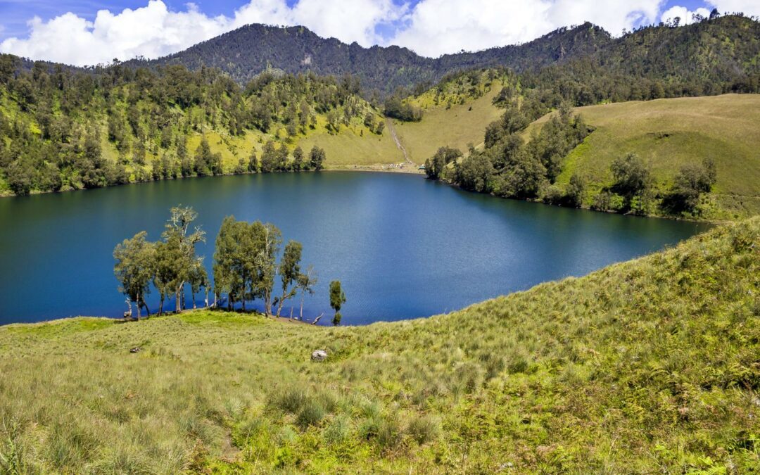 7 Alasan Mengapa Lumajang Cocok Jadi Destinasi Wisata Favorit di Jawa Timur